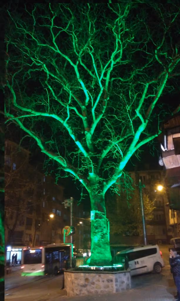 Kamusal Alan ve Park Aydınlatması